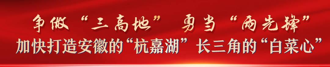 博望最新招聘信息2017概览与深度分析